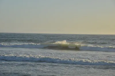 DSC_7256 (Large).JPG